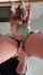 blonde squirt fingering