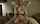 jav asian stockings