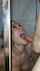 russian amateur beautiful