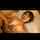 big tits boobjob jav