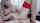camgirl dildo blonde