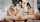 teen blowjob foursome