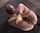bdsm bondage hogtie