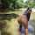 brunette bigbooty wet