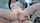 jav reverse cowgirl anal