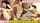 asian jav japan