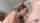 pov blowjob deep throat