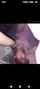 teen tattoed kinky
