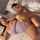 big tits thick milf
