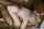 blonde doggystyle bbc