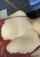 camgirl tattoos moles