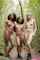 big tits girls nature