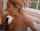 blowjob deepthroat blonde