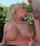 blonde blowjob bigtitts