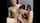 big cock sucking brunette