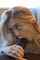 blowjob bbc blonde