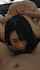 asian blowjob slut