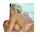 hot kissing blowjob