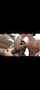 couple kisses camgirl
