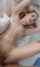 petite missionary white