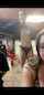 camgirl flash amateur