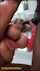 milf big boobs blowjob