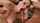 big tit cum anal