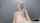 blonde hot solo