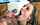 beautiful blowjob facial