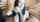 camgirl amateur pornstar