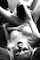 black and white pussy licking cunnilingus