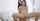 threesome hardcore reverse cowgirl