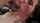 deepthroat newsensations blowjob