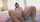 big tits reverse cowgirl uncensored
