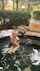 chinese public hot springs