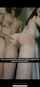 amateur white skin spank
