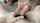 amateur asian blowjob
