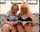 milf vintage lesbian