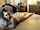 amateur brunette leak