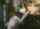 teen shy skinny