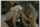 blond brunette threesome