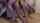 anal amateur camshow