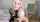 camgirl egirl ahegao