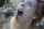 camgirl amateur gangbang