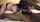 bbc interracial cuckold