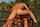 ebony threesome double penetration