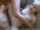 lexi belle blonde orgasm