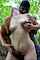 interracial bbc snowbunny