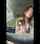 car blowjob redhead