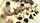 jav ntr orgy
